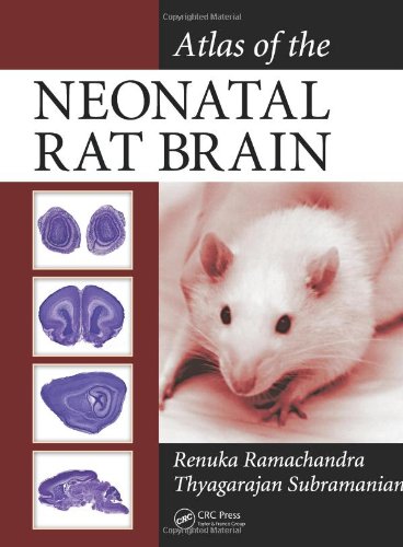 Atlas Of The Neonatal Rat Brain 1st Edition Renuka Ramachandra