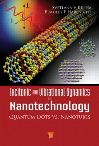 Excitonic And Vibrational Dynamics In Nanotechnology Quantum Dots Vs Nanotubes Svetlana V Kilina