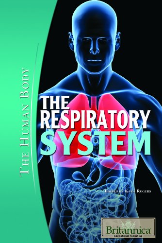 The Respiratory System The Human Body Kara Rogers