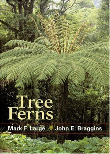 Tree Ferns Mark F Large John E Braggins