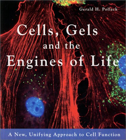 Cells Gels And The Engines Of Life 1st Edition Gerald H Pollack