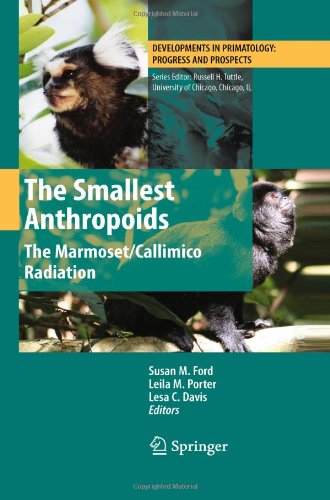 The Smallest Anthropoids The Marmosetcallimico Radiation 1st Edition Liliana Cortsortiz Auth