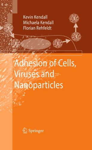 Adhesion Of Cells Viruses And Nanoparticles 1st Edition Kevin Kendall