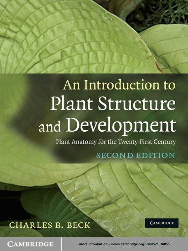 An Introduction To Plant Structure And Development Plant Anatomy For The Twentyfirst Century Charles B Beck
