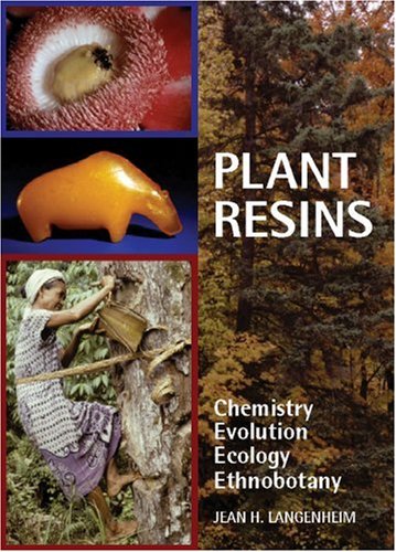 Plant Resins Chemistry Evolution Ecology And Ethnobotany Jean H Langenheim