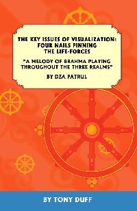 The Key Issues Of Visualization Four Nails Pinning The Lifeforces Tony Duff