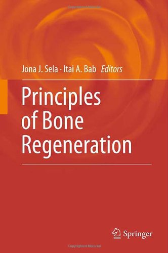 Principles Of Bone Regeneration 1st Edition Jona J Sela Itai A Bab Auth