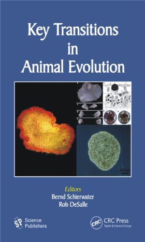 Key Transitions In Animal Evolution Rob Desalle Bernd Schierwater