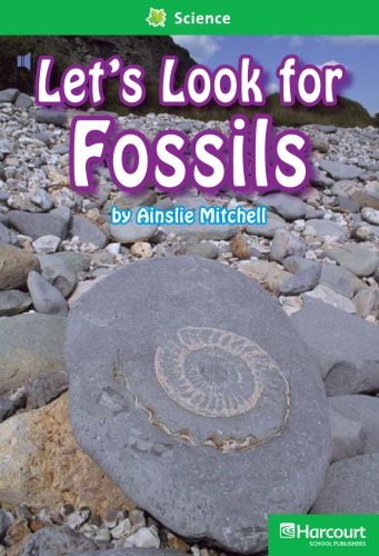 Lets Look For Fossils