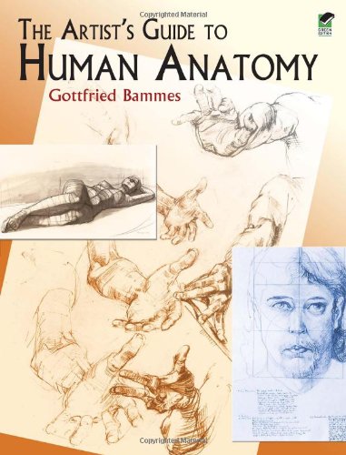 The Artists Guide To Human Anatomy Gottfried Bammes