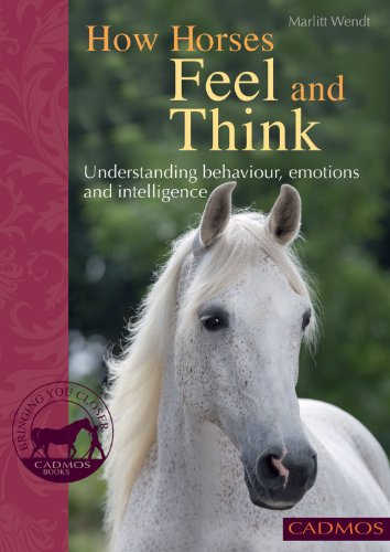 How Horses Feel And Think Understanding Behaviour Emotions And Intelligence Reprint Marlitt Wendt