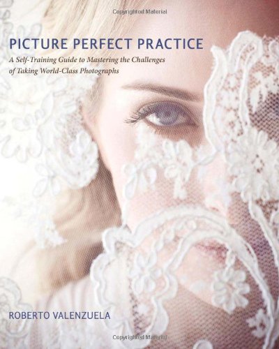 Picture Perfect Practice A Selftraining Guide To Mastering The Challenges Of Taking Worldclass Photographs 1st Edition Roberto Valenzuela