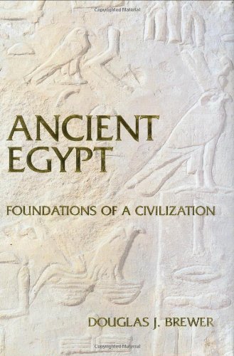 Ancient Egypt Foundations Of A Civilization Douglas J Brewer