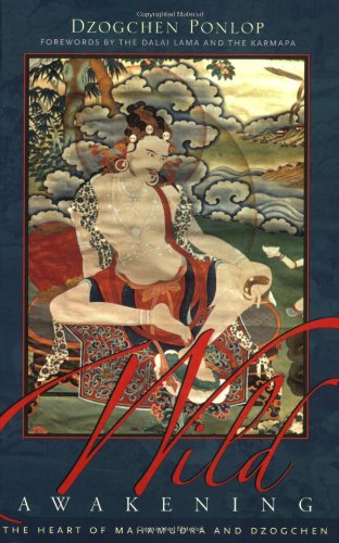 Wild Awakening The Heart Of Mahamudra And Dzogchen Dzogchen Ponlop Rinpoche