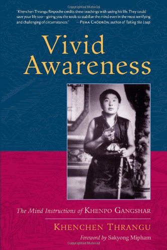 Vivid Awareness The Mind Instructions Of Khenpo Gangshar 1st Edition Khenchen Thrangu