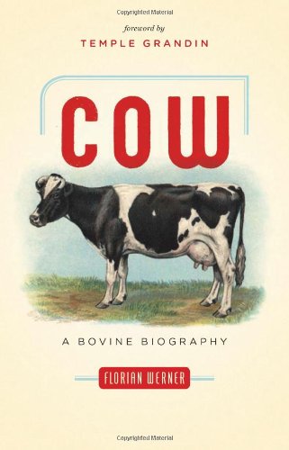 Cow A Bovine Biography Florian Werner Doris Ecker Temple Grandin