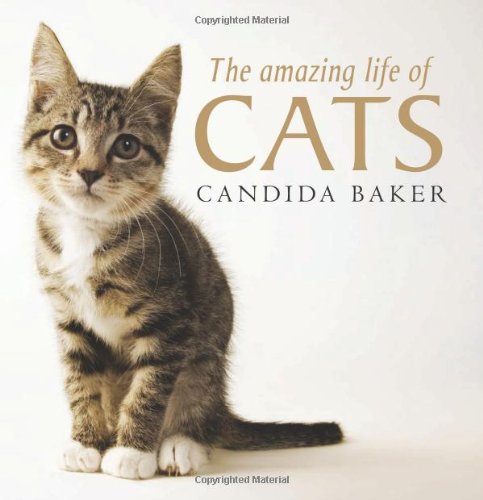 The Amazing Life Of Cats Candida Baker