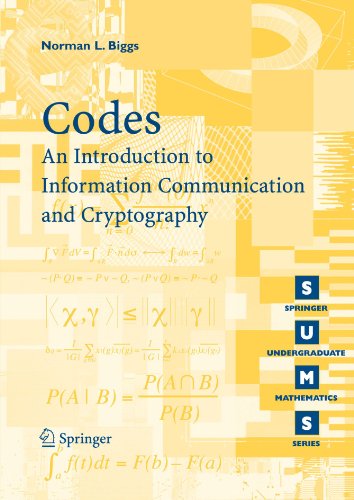 Codes An Introduction To Information Communication And Cryptography 1st Edition Nl Biggs