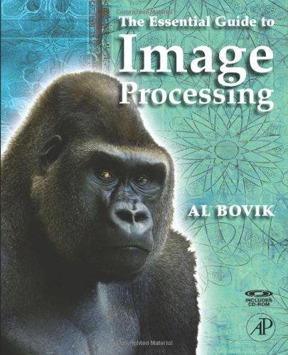 The Essential Guide To Image Processing 1st Edition Alan C Bovik