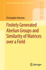 Finitely Generated Abelian Groups And Similarity Of Matrices Over A Field 1st Edition Christopher Norman