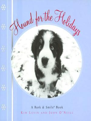 Hound For The Holidays A Bark And Smile Book Kim Levin John Oneill Levin
