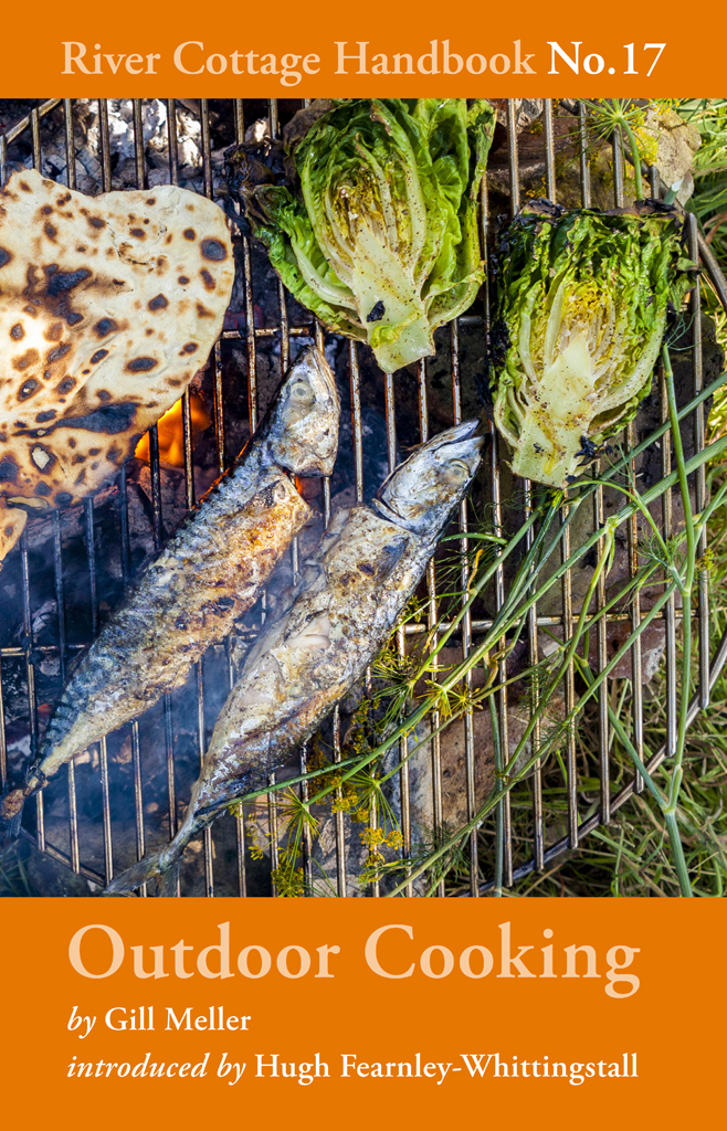River Cottage Handbook 17 Outdoor Cooking Gill Meller