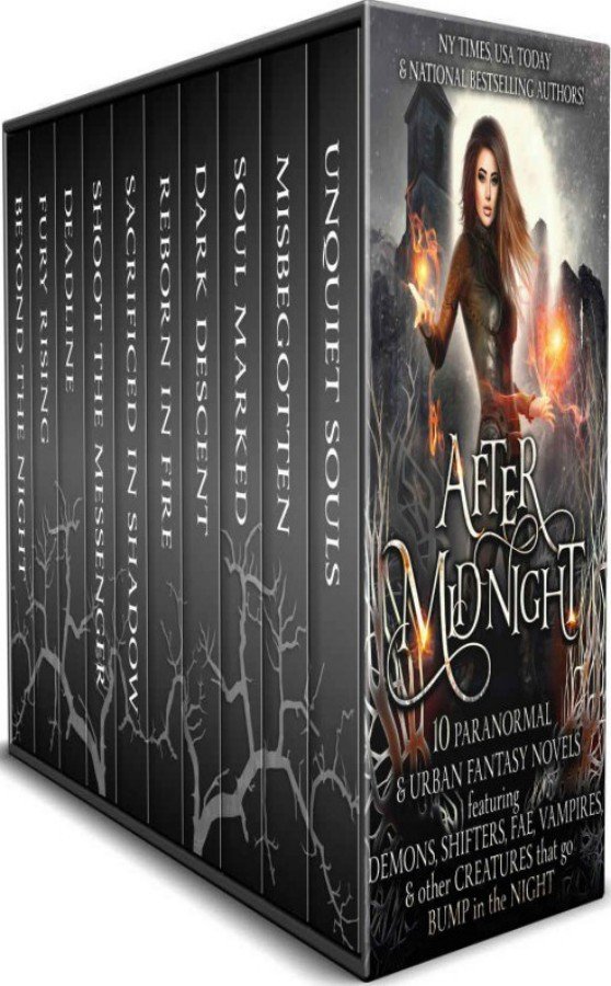 After Midnight 10 Paranormal Romance Urban Fantasy Novels Featuring Demons Shifters Fae Vampires Other Creatures That Go Bump In The Night Christine Pope Kat Parrish C Gockel Nicole R Taylor Kasey Mackenzie Sm Reine Pippa Dacosta Jennifer Blackstream Yasmine Galenorn Colleen Gleason