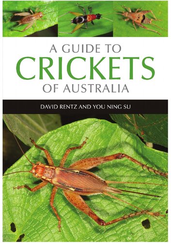 A Guide To Crickets Of Australia Illustrated David Rentz You Ning Su