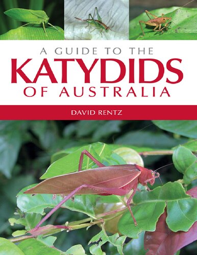 A Guide To The Katydids Of Australia Illustrated David C Rentz
