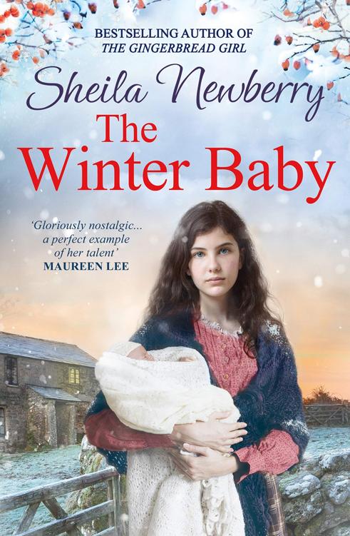 The Winter Baby Sheila Newberry