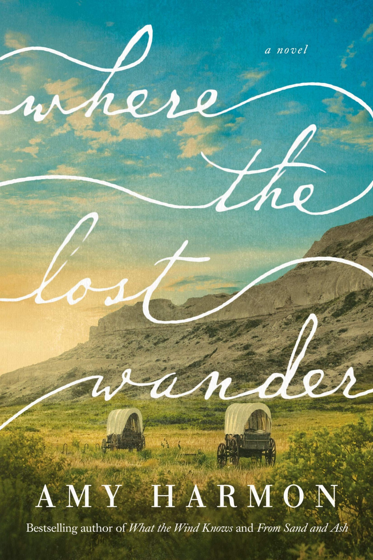 Where The Lost Wander Harmon Amy