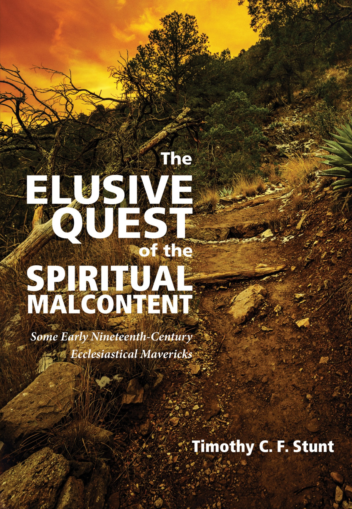 The Elusive Quest Of The Spiritual Malcontent Timothy C F Stunt Stunt