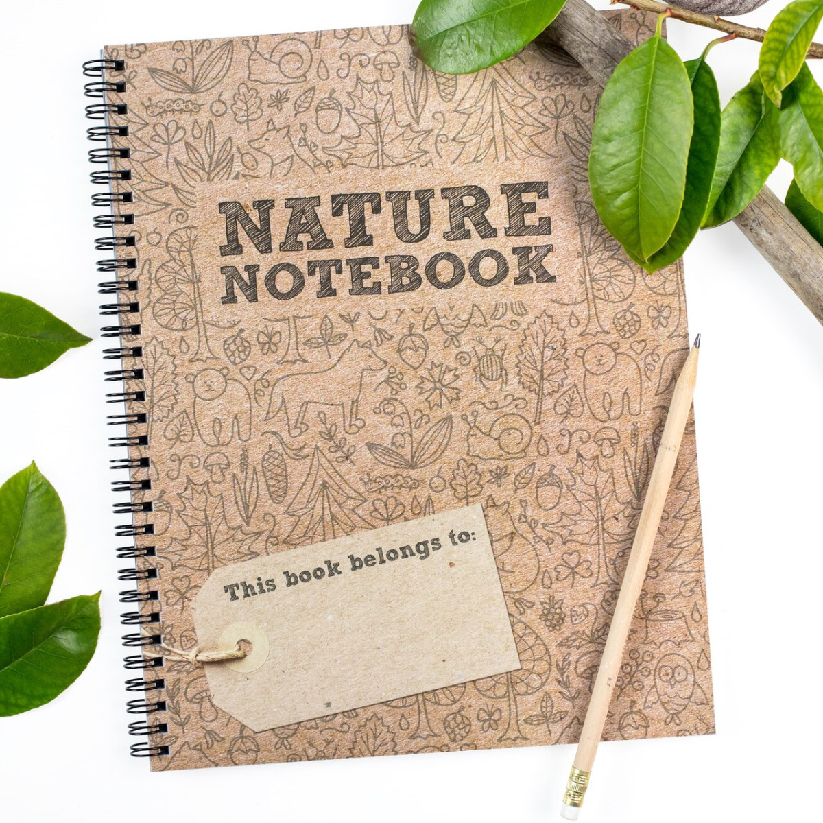 The Good And The Beautiful Nature Notebook Jenny Phillips