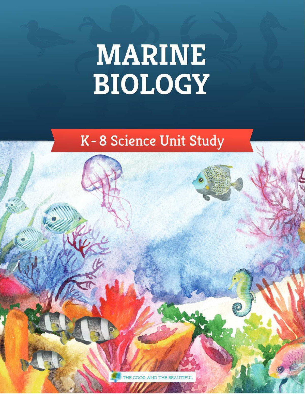 The Good And The Beautiful Marine Biology 1st Edition Jenny Phillips