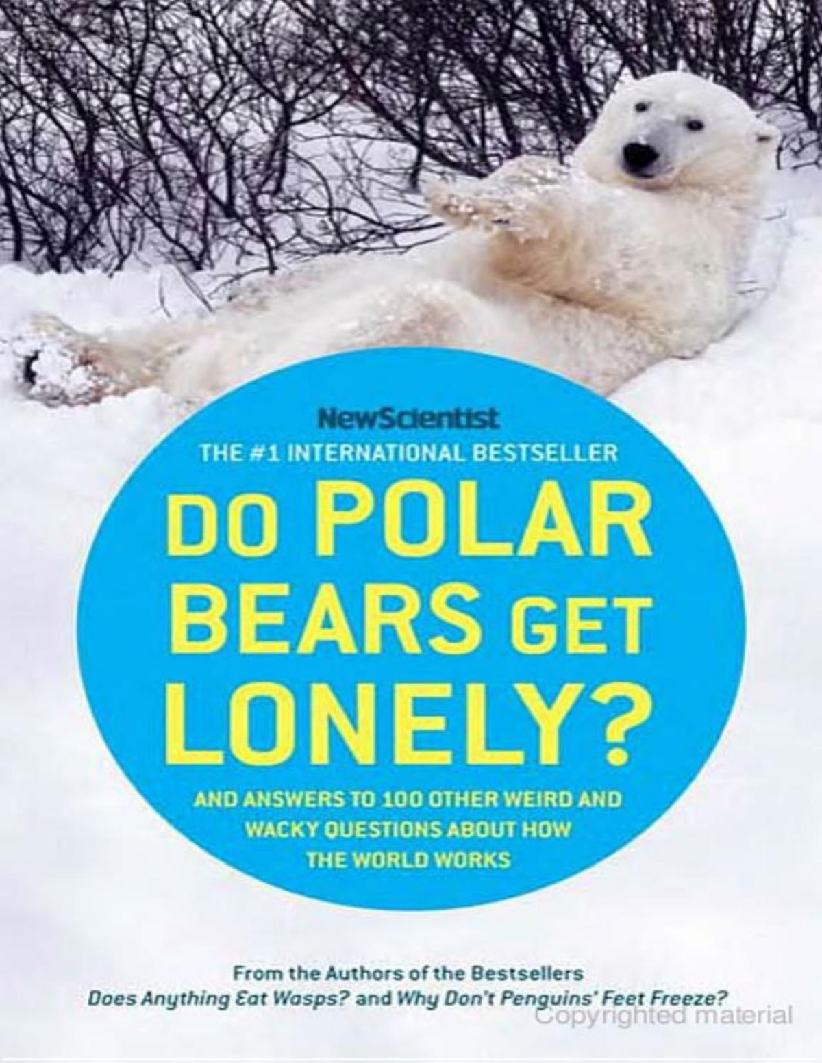 Do Polar Bears Get Lonely New Scientist