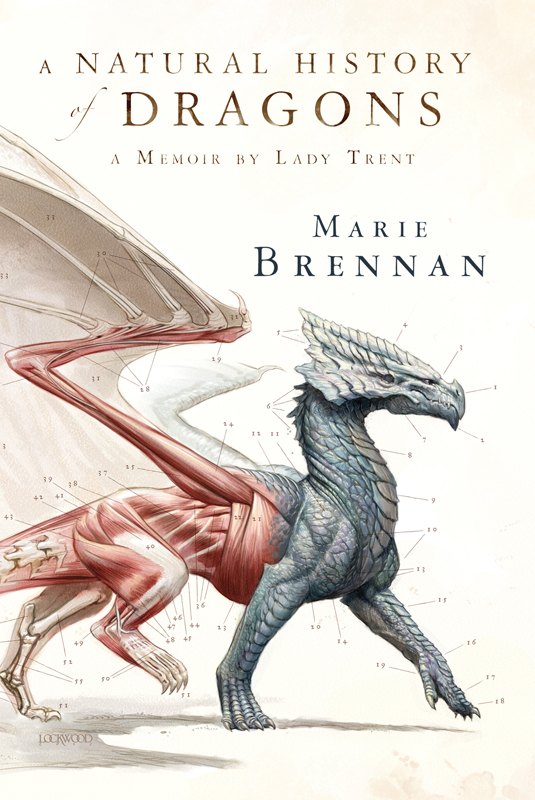 A Natural History Of Dragons Marie Brennan