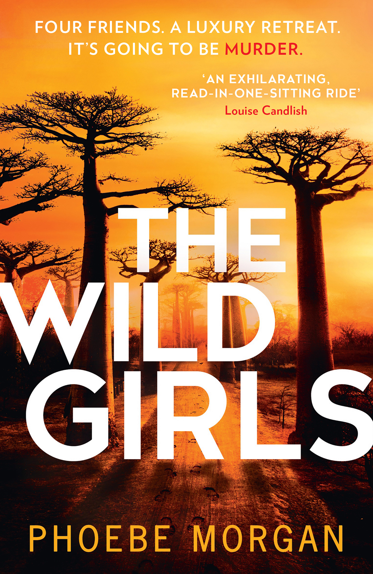 The Wild Girls Phoebe Morgan