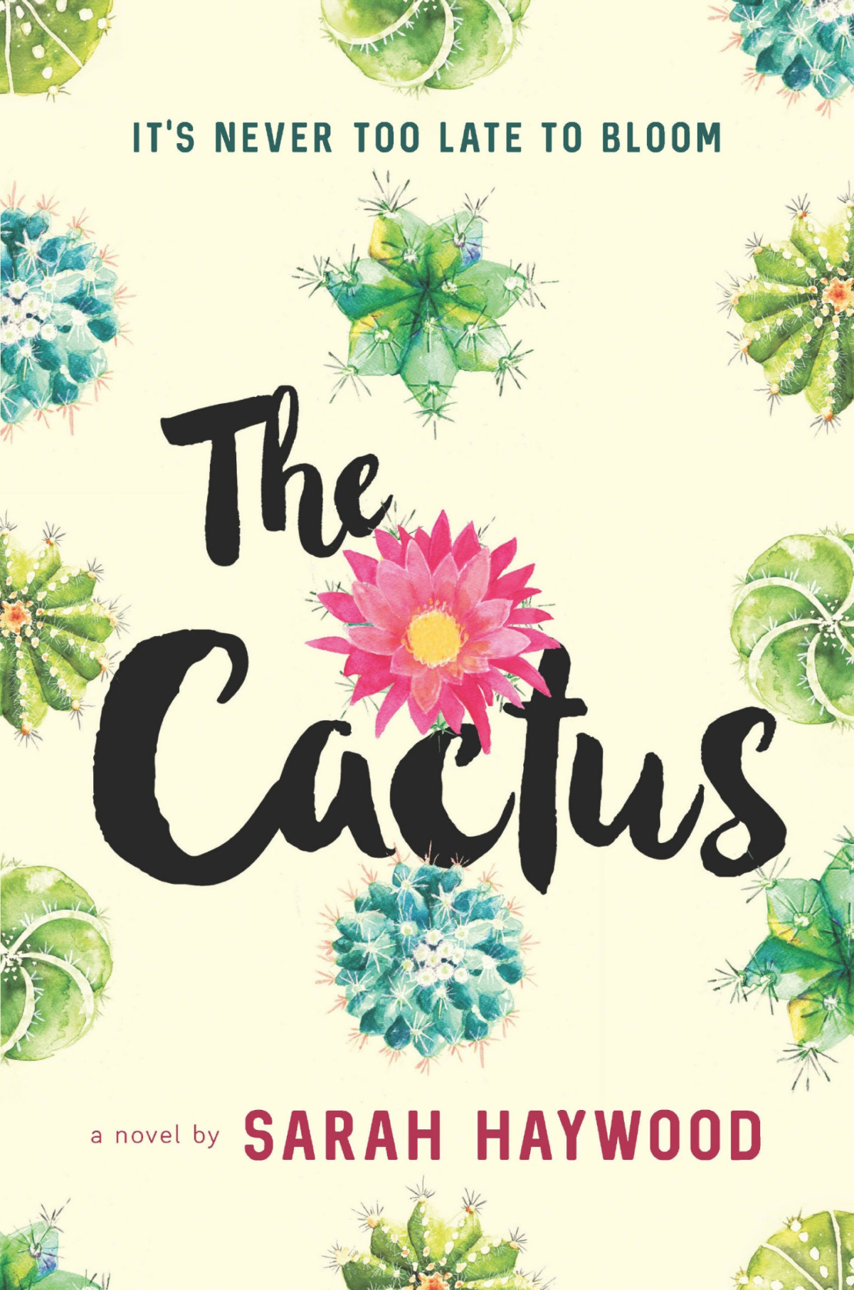 The Cactus Sarah Haywood