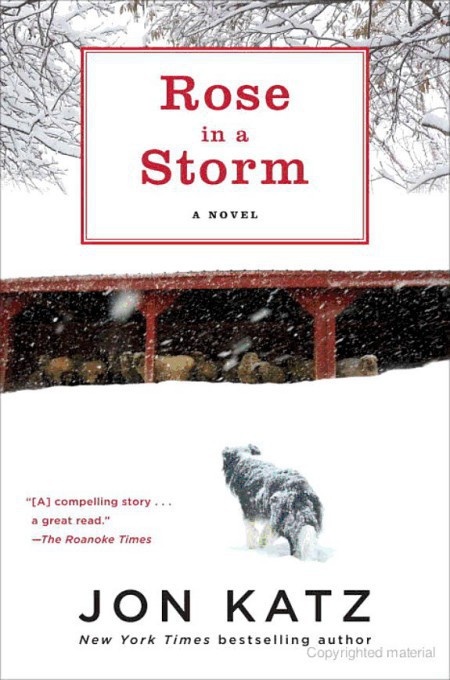 Rose In A Storm Katz Jon Katz Jon