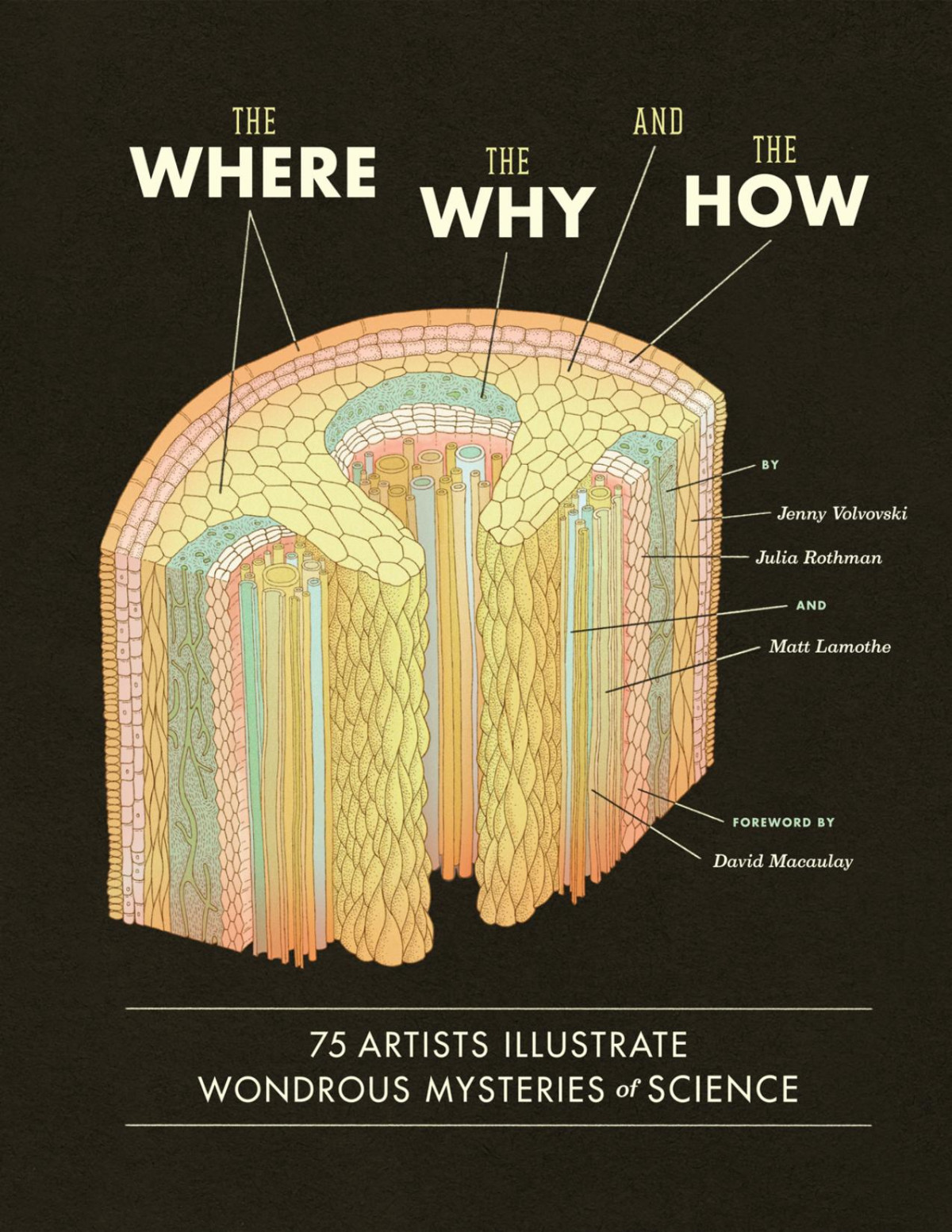 The Where The Why And The How 75 Artists Illustrate Wondrous Mysteries Of Science Matt Lamothe