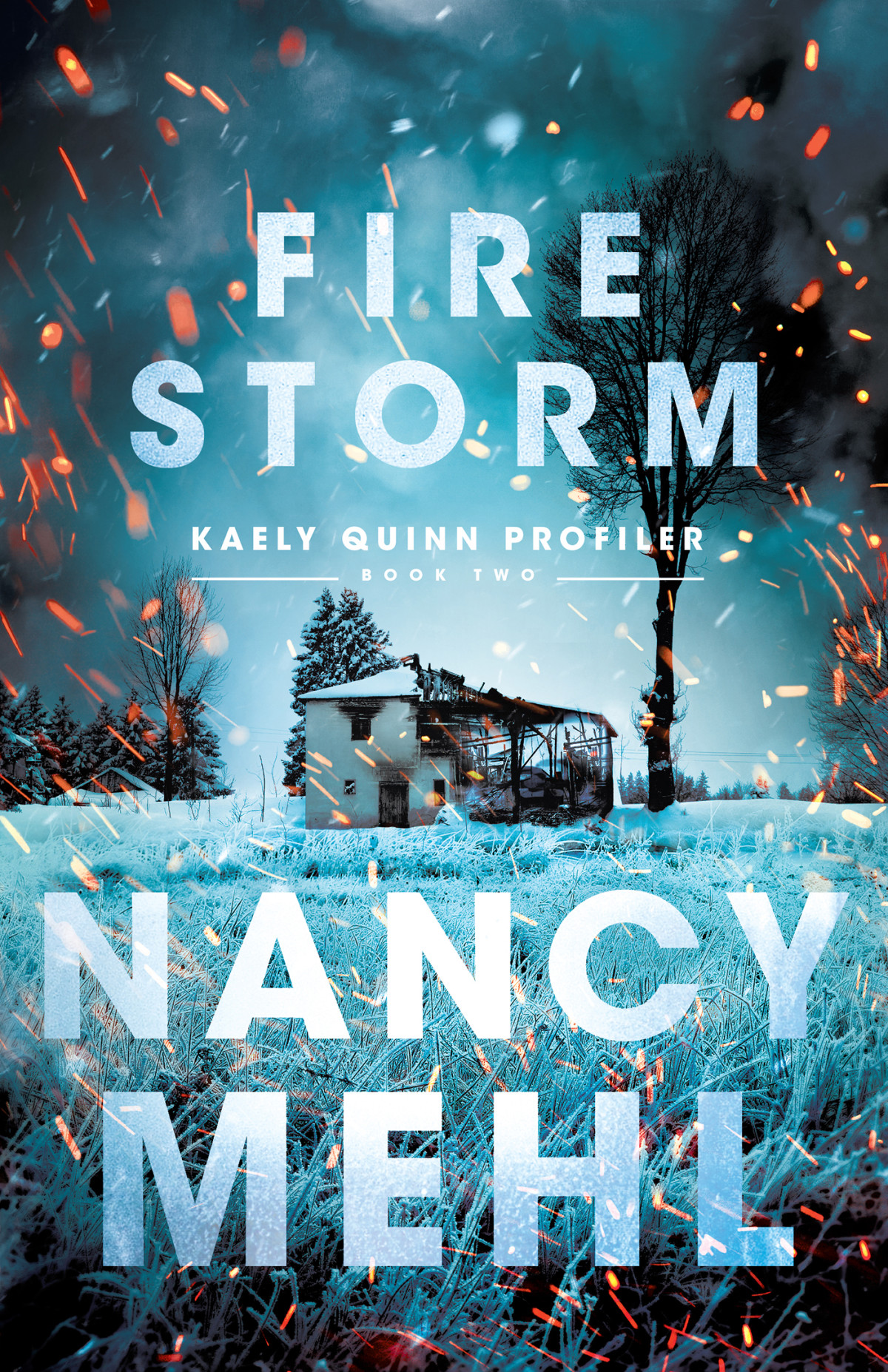 Fire Storm Kaely Quinn Profiler 2 Nancy Mehl Nancy Mehl
