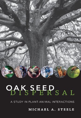 Oak Seed Dispersal A Study In Plantanimal Interactions Michael A Steele