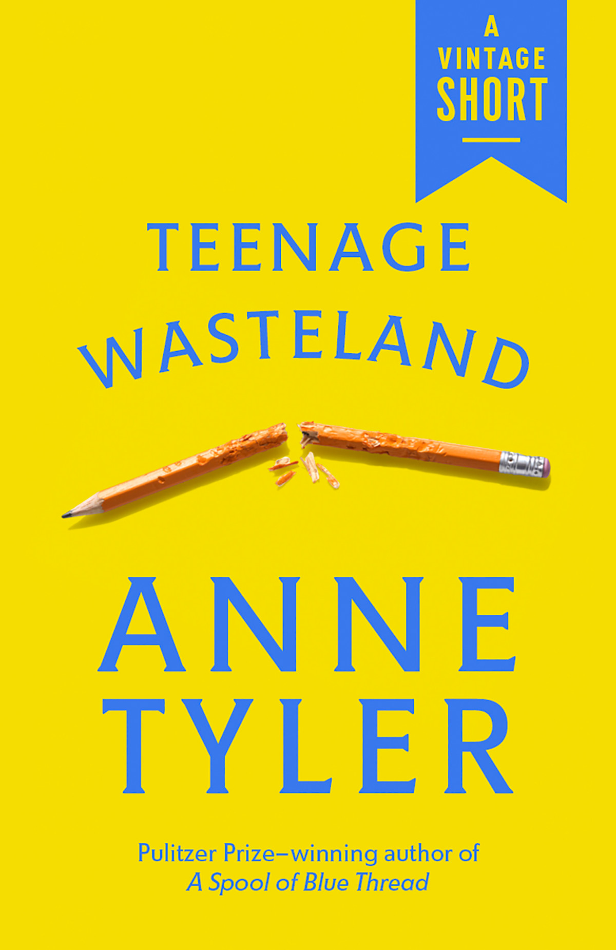 Teenage Wasteland Anne Tyler Tyler Anne