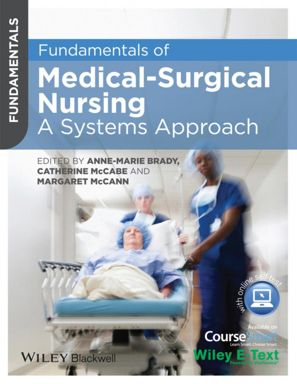 Fundamentals Of Medicalsurgical Nursing Annemarie Brady Catherine Mccabe