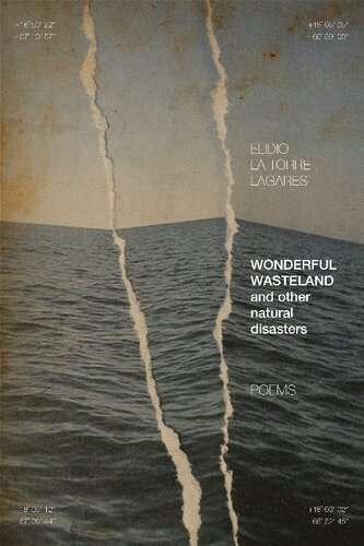 Wonderful Wasteland And Other Natural Disasters Elidio La Torre Lagares