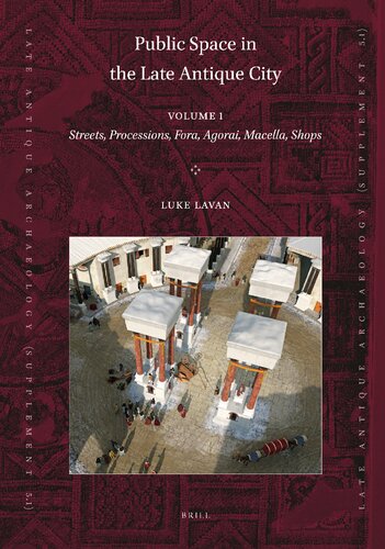 Public Space In The Late Antique City Luke Lavan