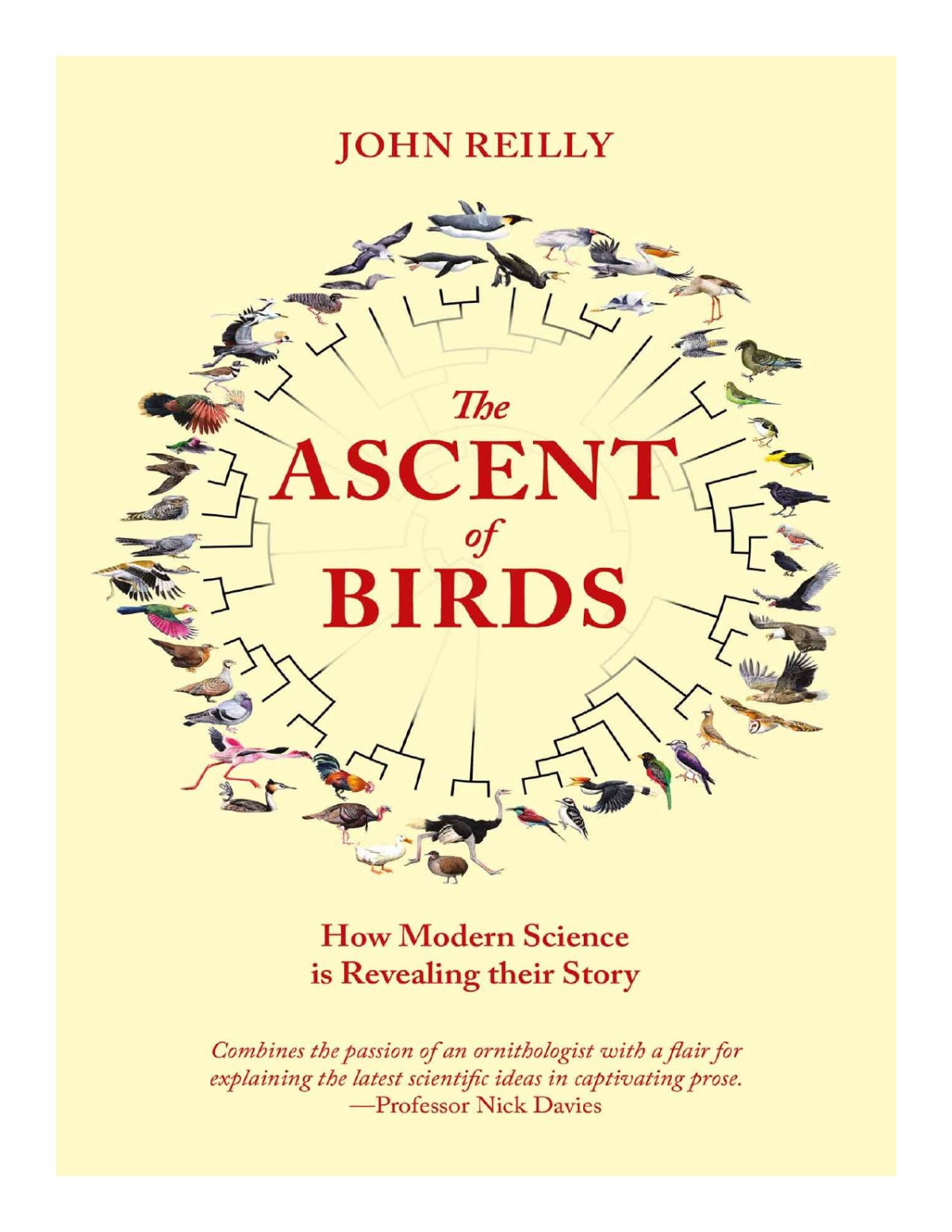 The Ascent Of Birds Reilly John