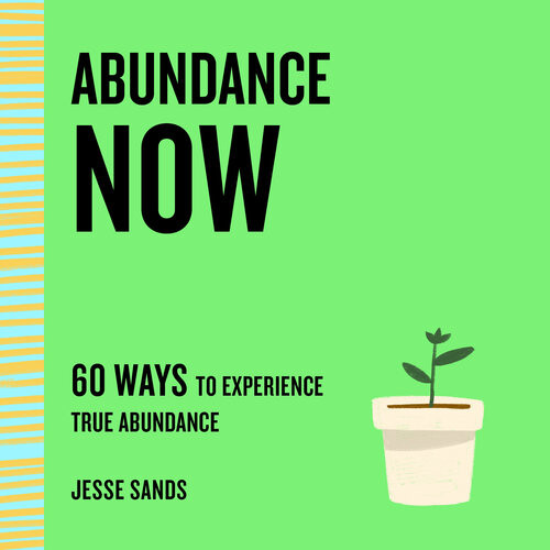 Abundance Now 60 Ways To Experience True Abundance Jesse Sands
