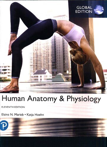 Human Anatomy Physiology Global Edition 11th Edition Elaine N Marieb Et All