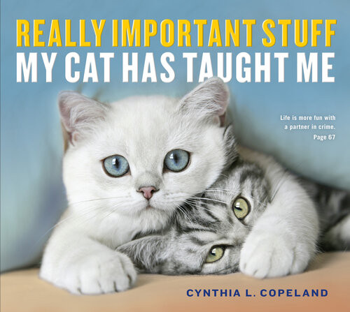 Really Important Stuff My Cat Has Taught Me Cynthia L Copeland